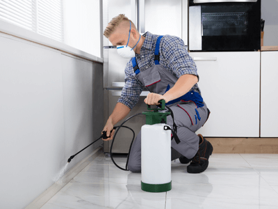 About RPC Delmar - residential pest control experts in Delmar