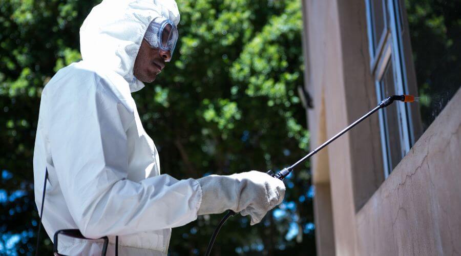 Why choose RPC Delmar for residential pest control in Delmar